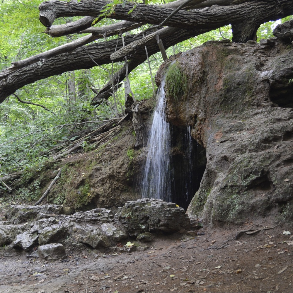 Meet your Posher, DC!